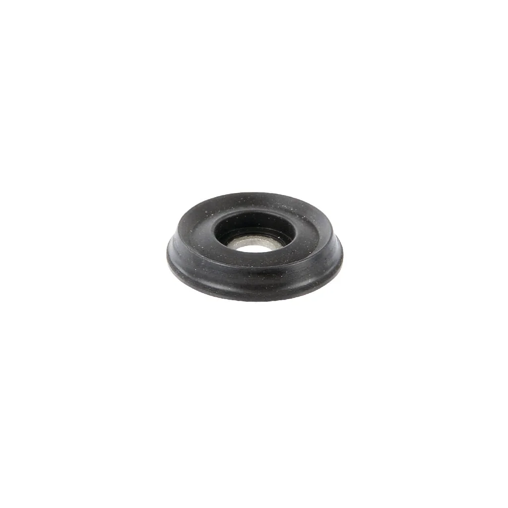 Supapă disc