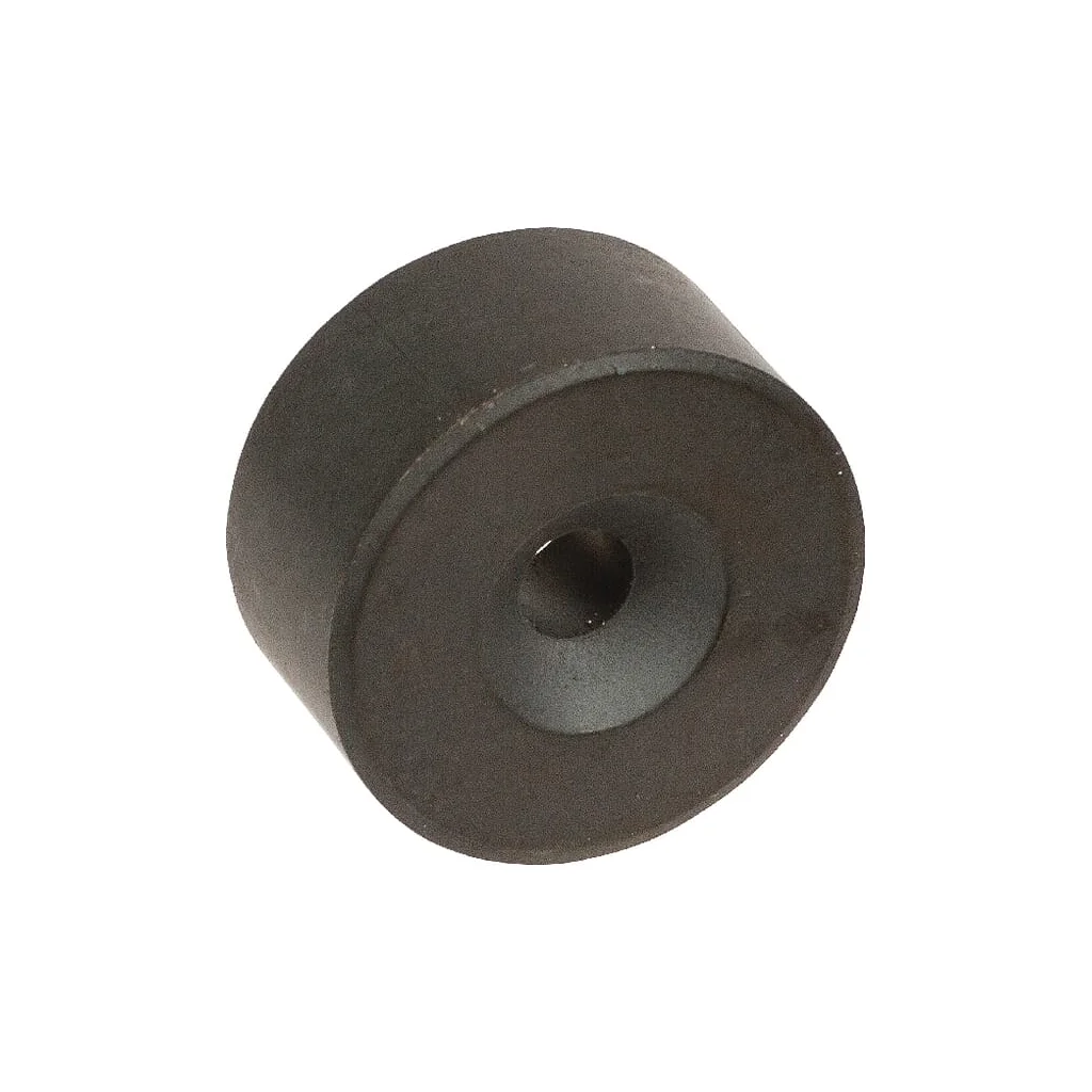 Magnet