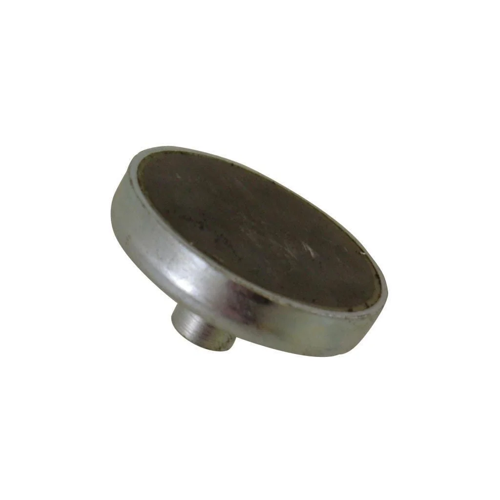 Magnet