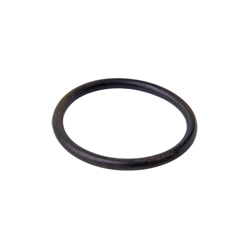 O-ring 3112