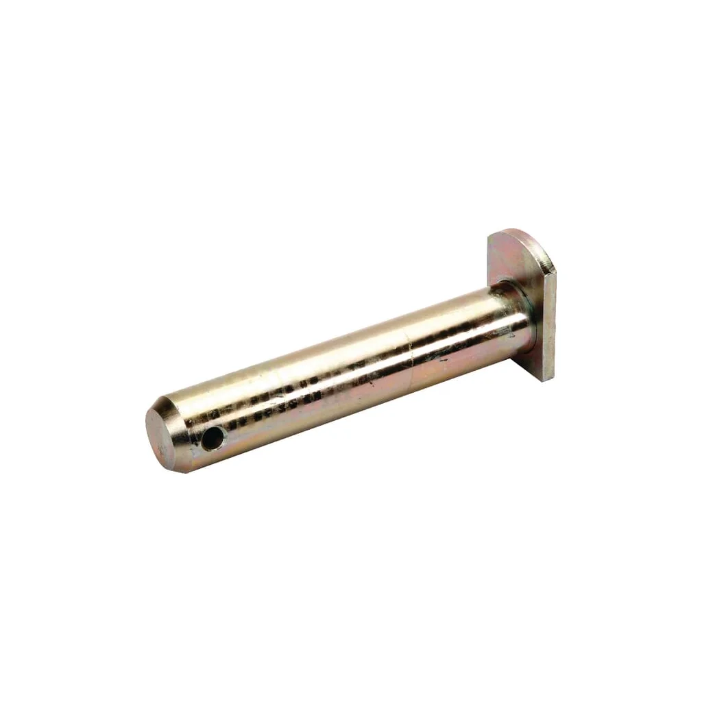 Pin