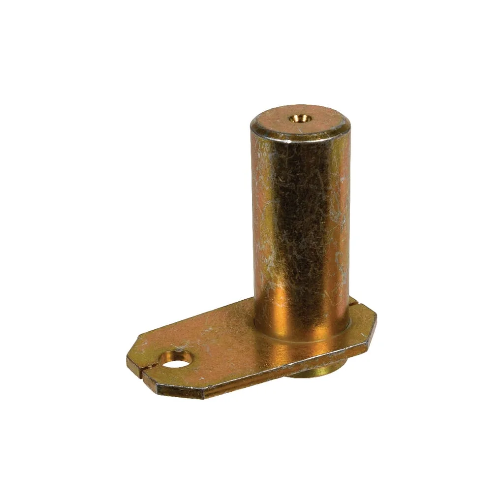 Pin