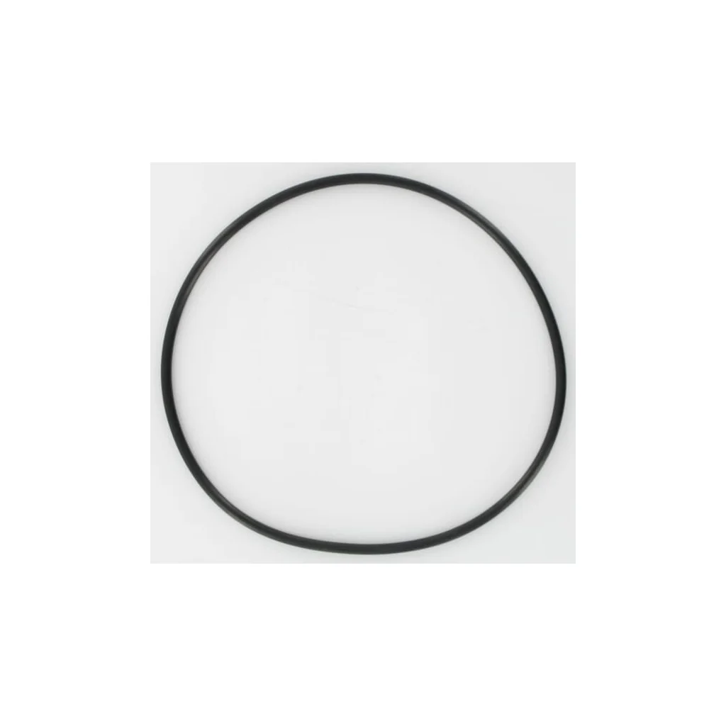 O-ring