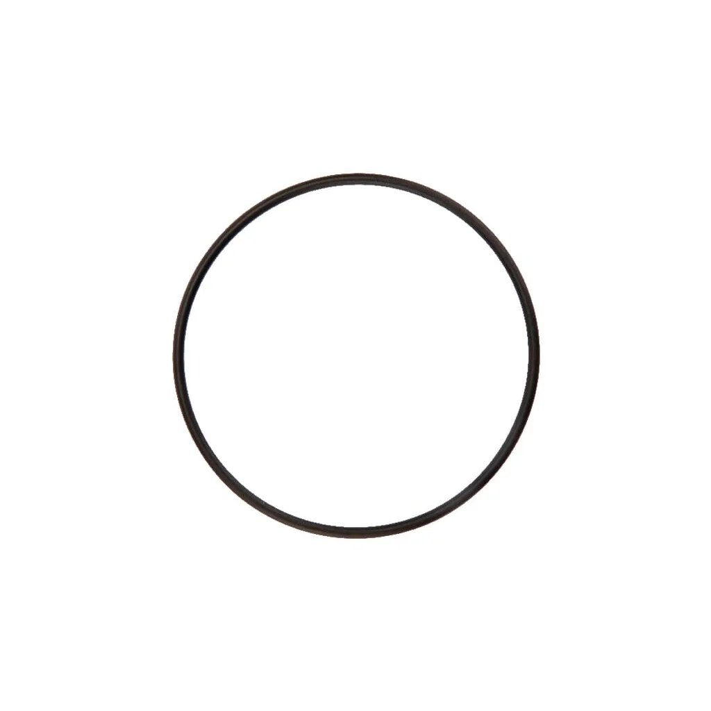 O-ring