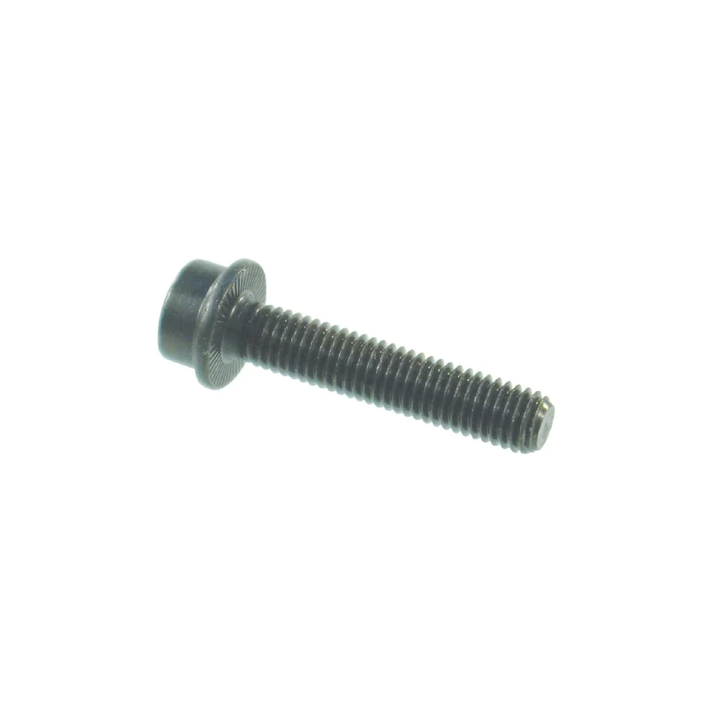 Șurub cap cilindric orificiu hexagonal M6x1x25mm oțel placat cu zinc FZB EN100