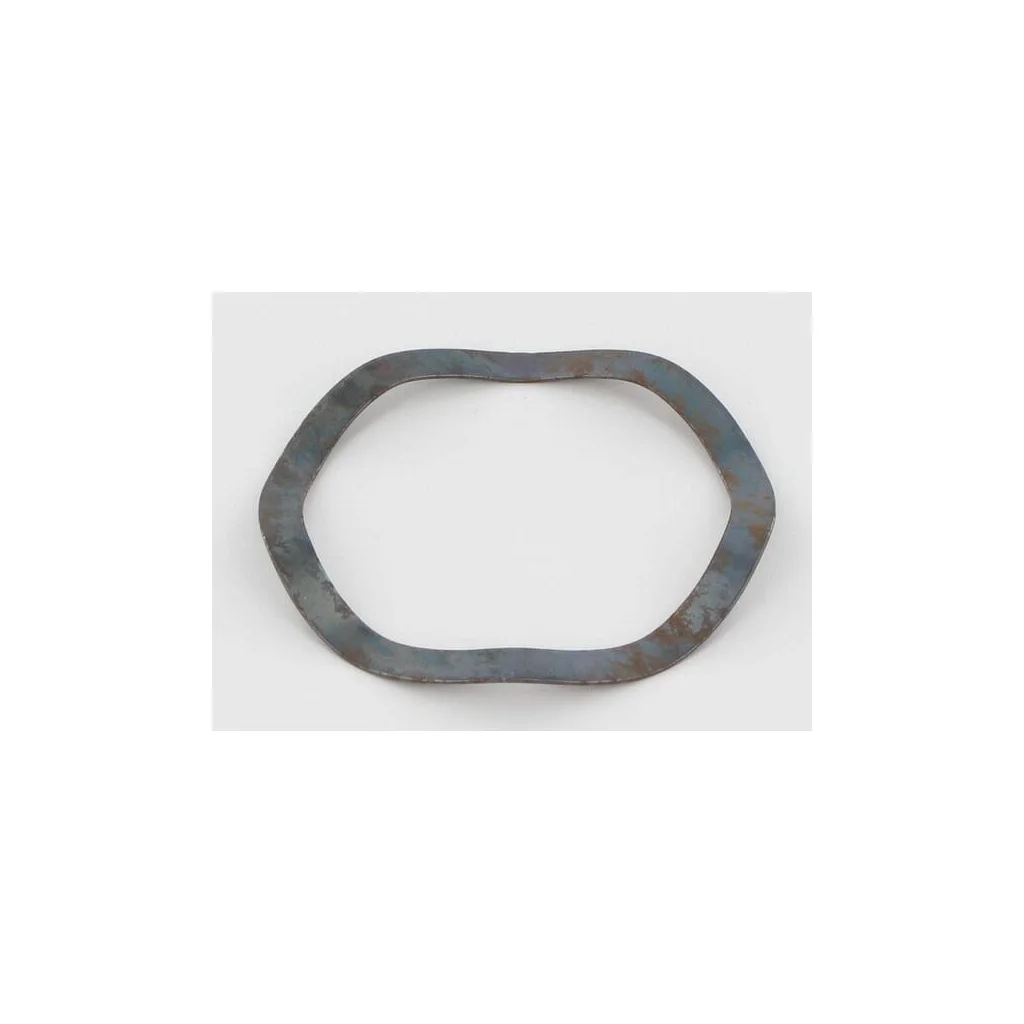 Șaibă elastică 51x42mm Lely