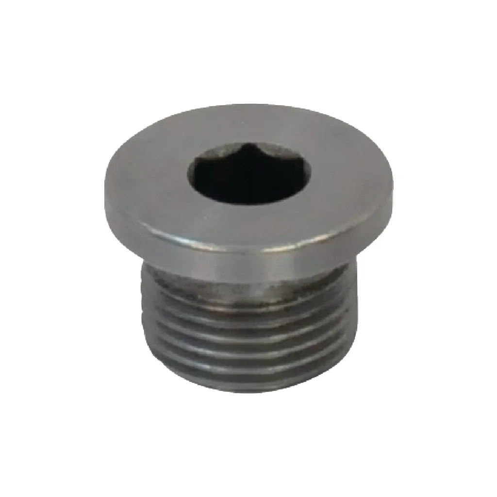 Dop filetat cap cilindric orificiu hexagonal DIN908 3/8"