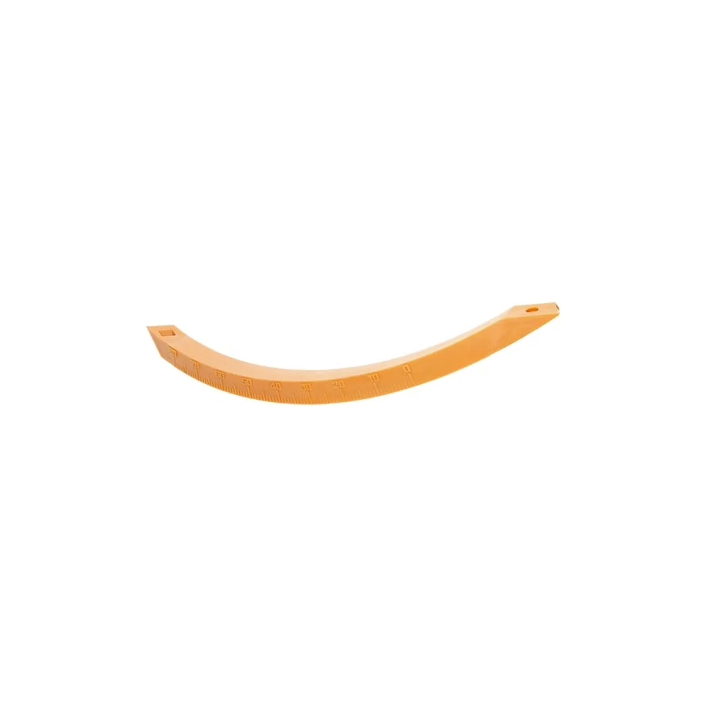 Scală D