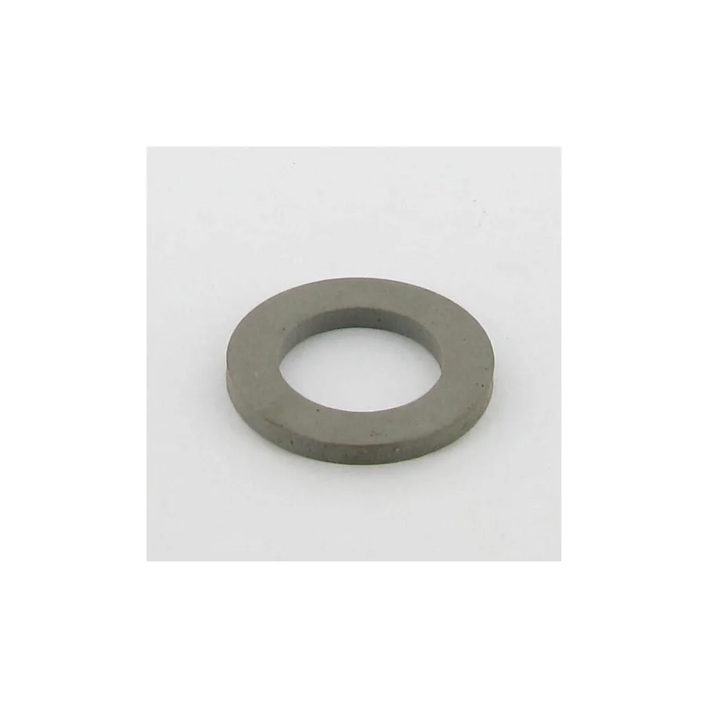 O-ring Ipsa