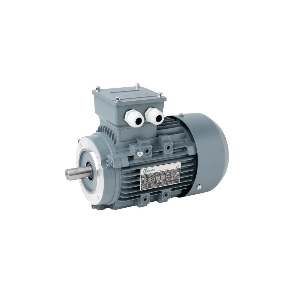 Motor electric 0,75kW