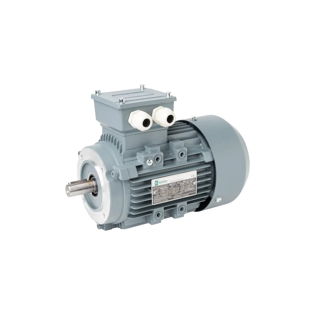 Motor electric 1,1 kW