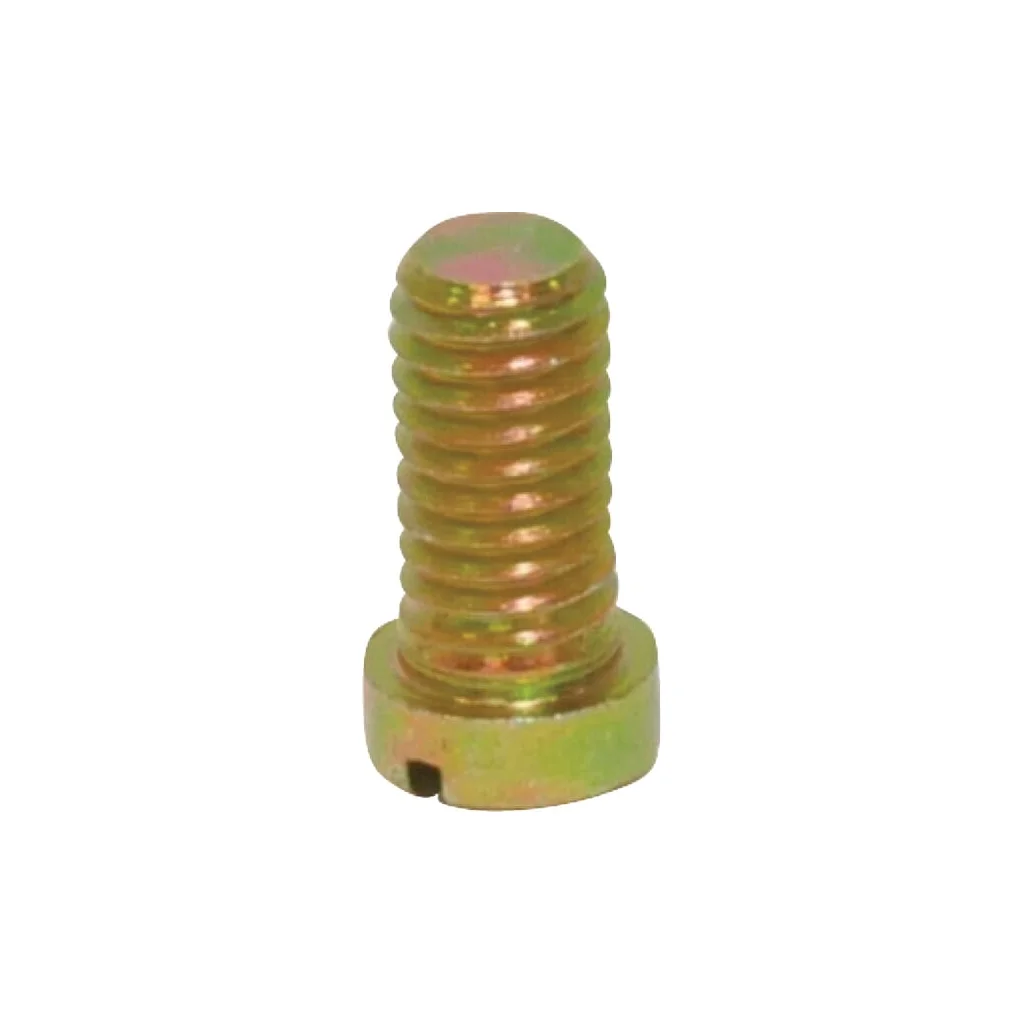 Șurub cu cap plat M6x12 Din 920