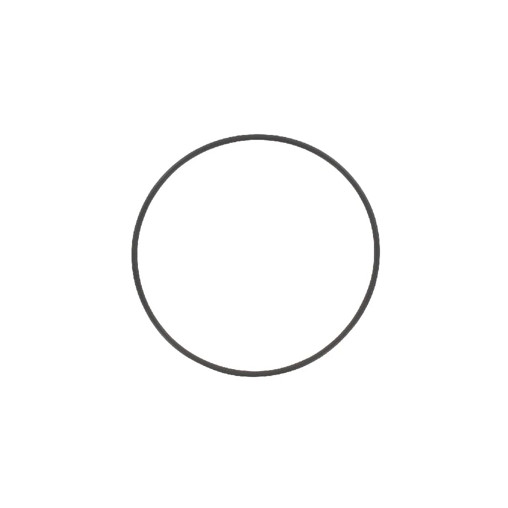 O-ring 94,92x2,62mm NBR EVO90-170