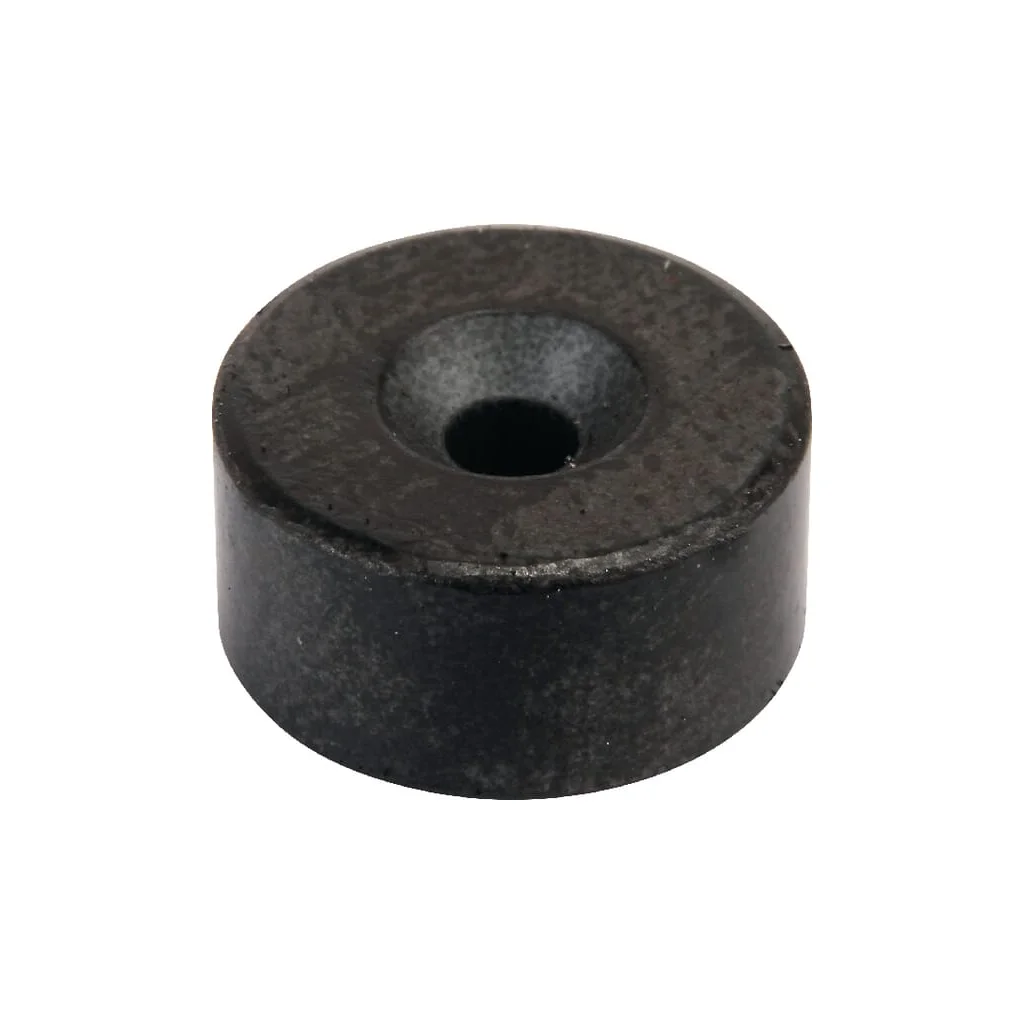 Magnet