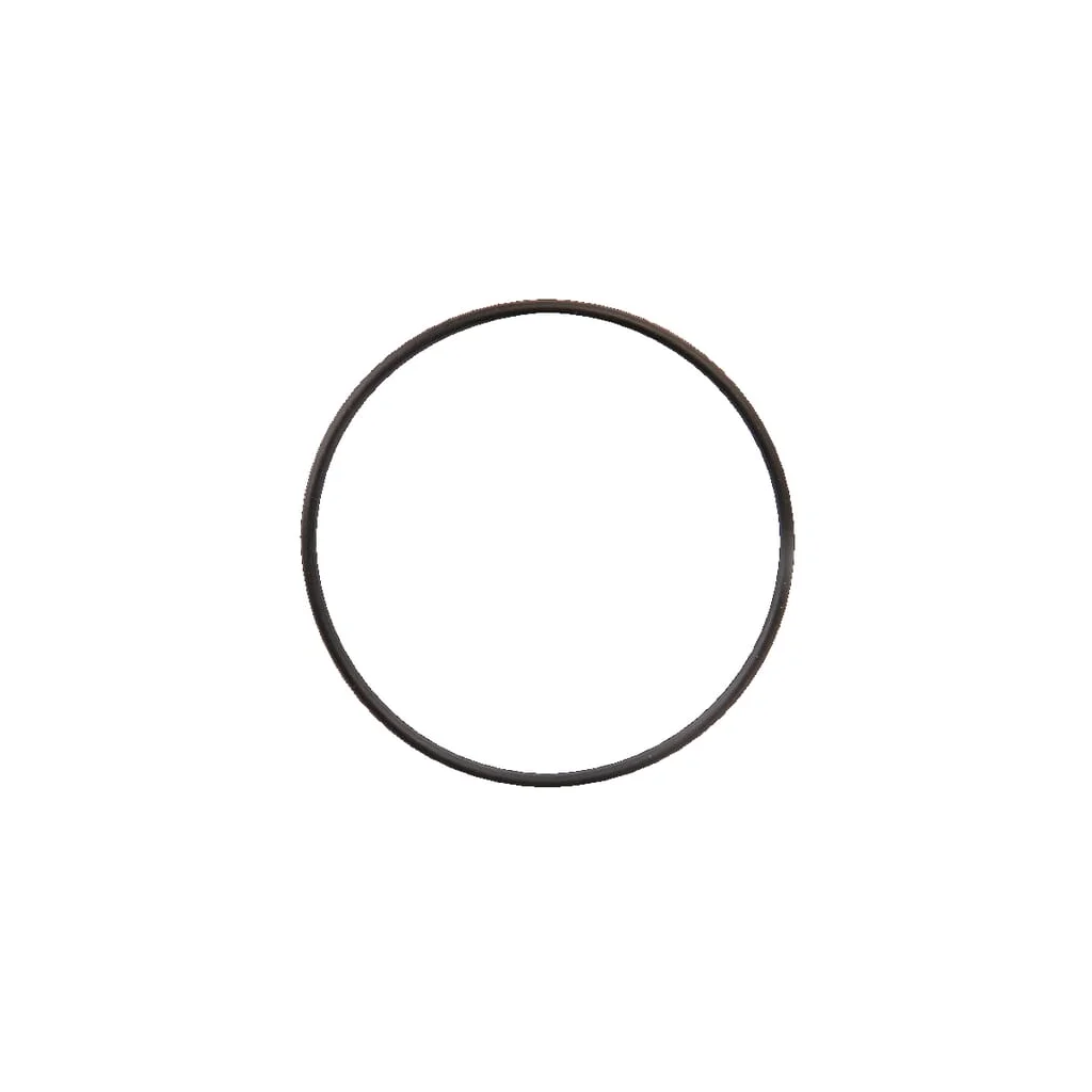 O-ring