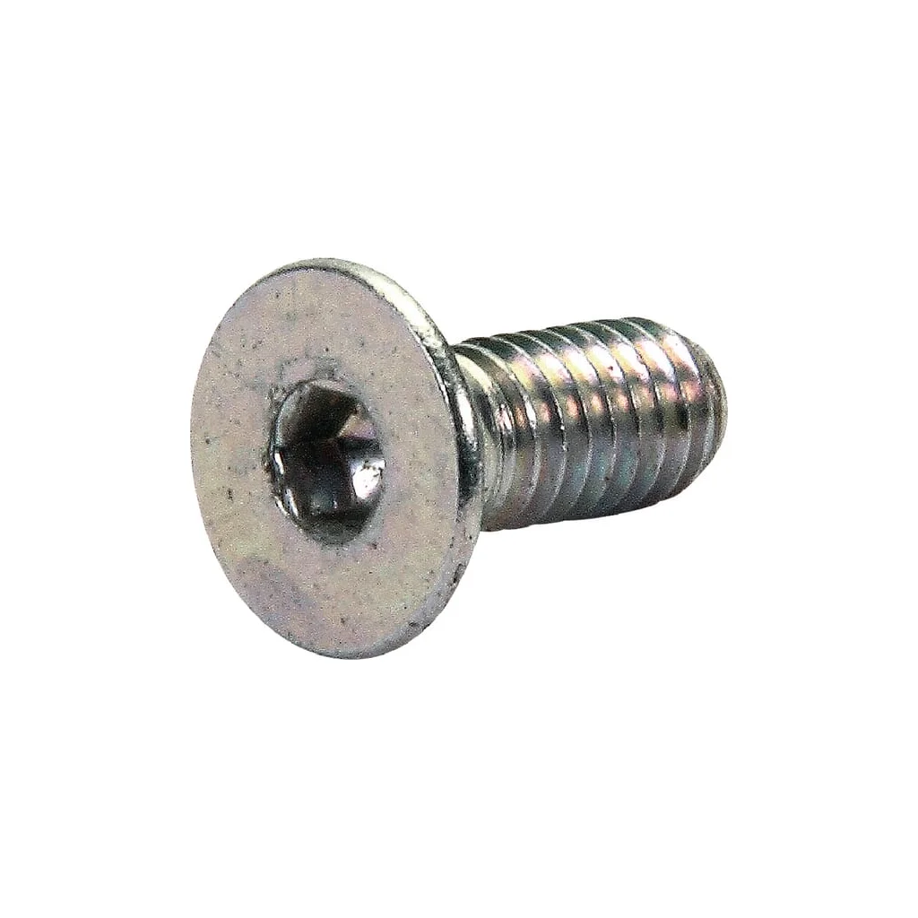 Șurub 4x10 5933 10.9 ZN