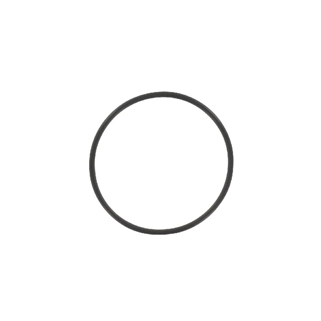O-ring Maschio