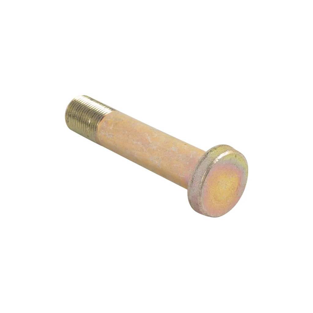 Bolț de susținere M20/150x98