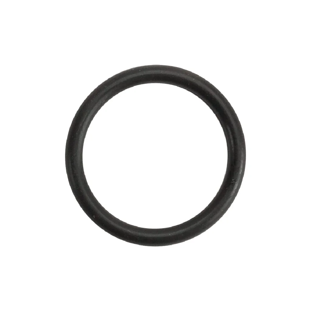 O-ring 20,29X2,62, FKM 80