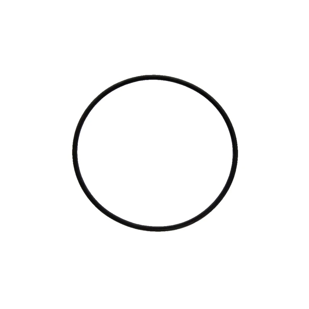 O-ring 172,00 x 6,00: 80 FKM