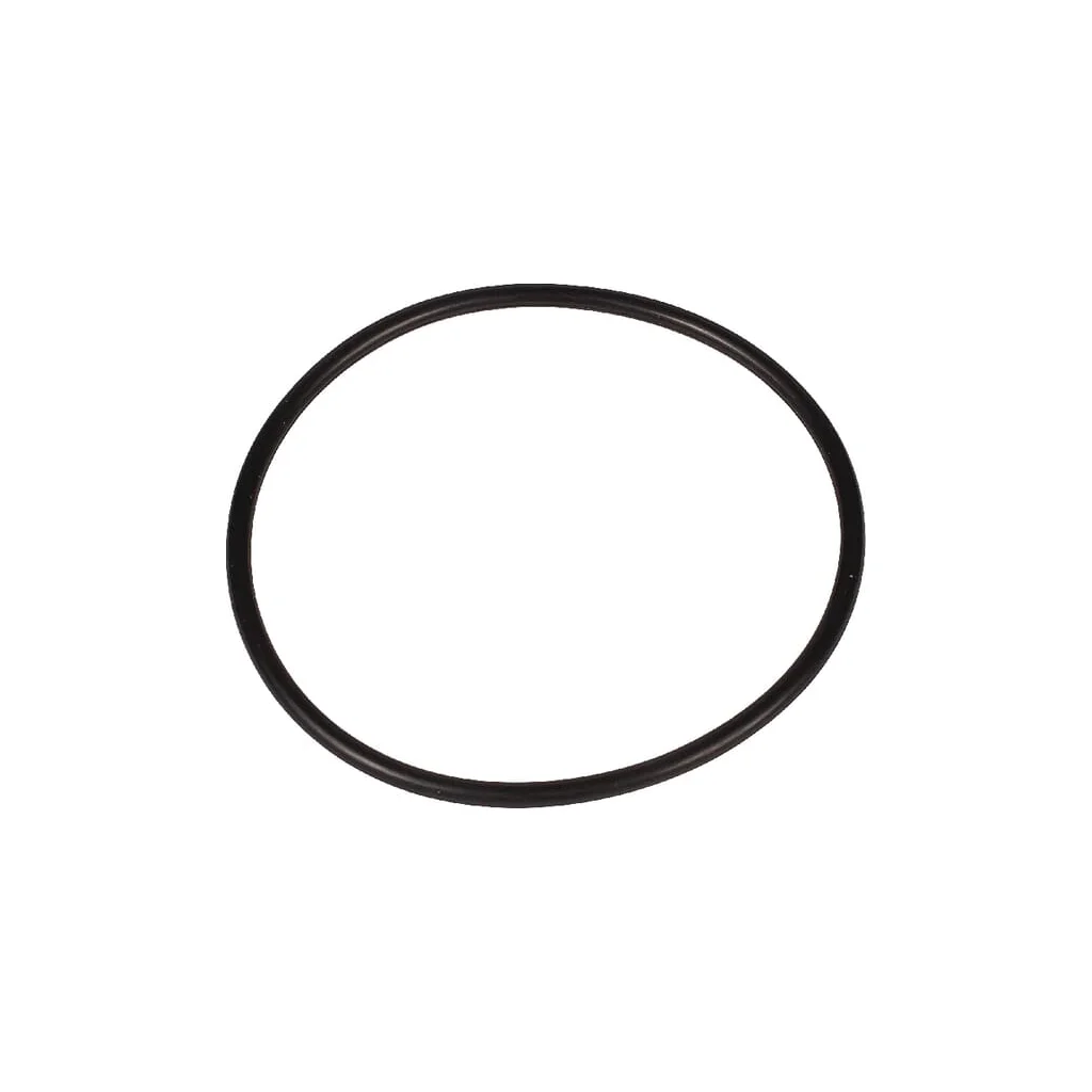 O-ring 67x3