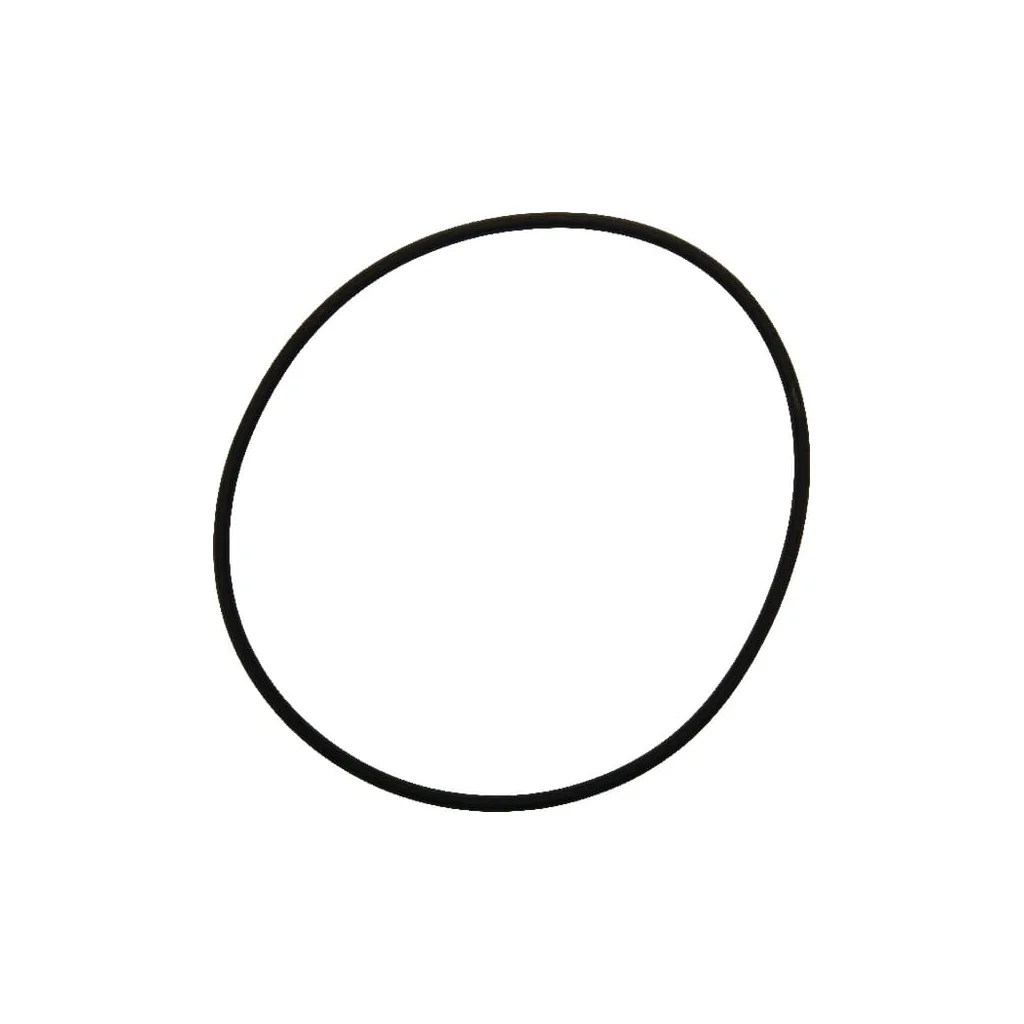 O-ring D170 x 5 80 Shore Vito