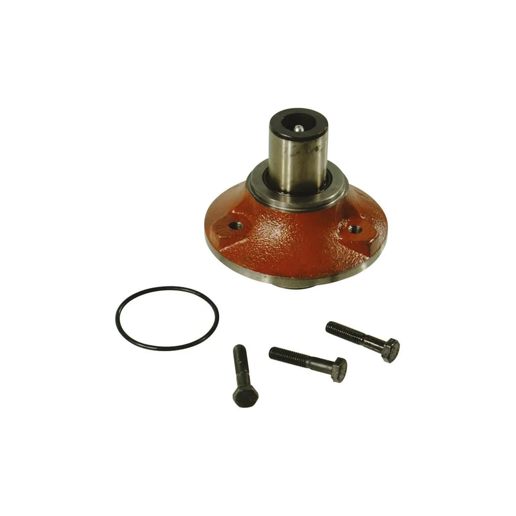 Rulment de plug