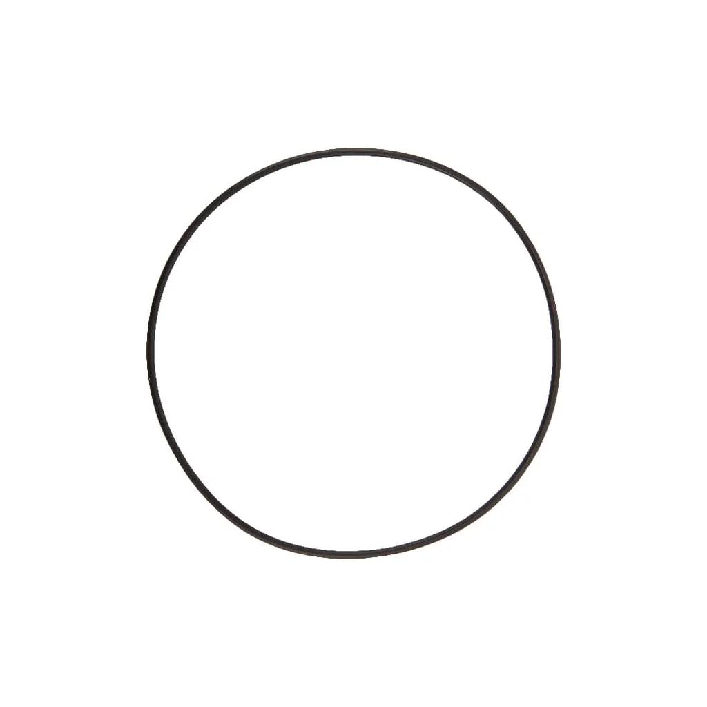 O-ring