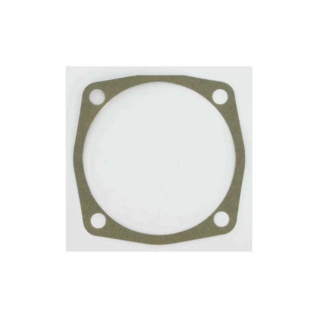 Garnitură 0,3mm Maschio