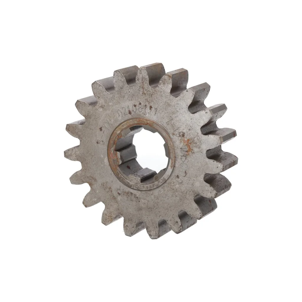 Pinion 19T. Maschio