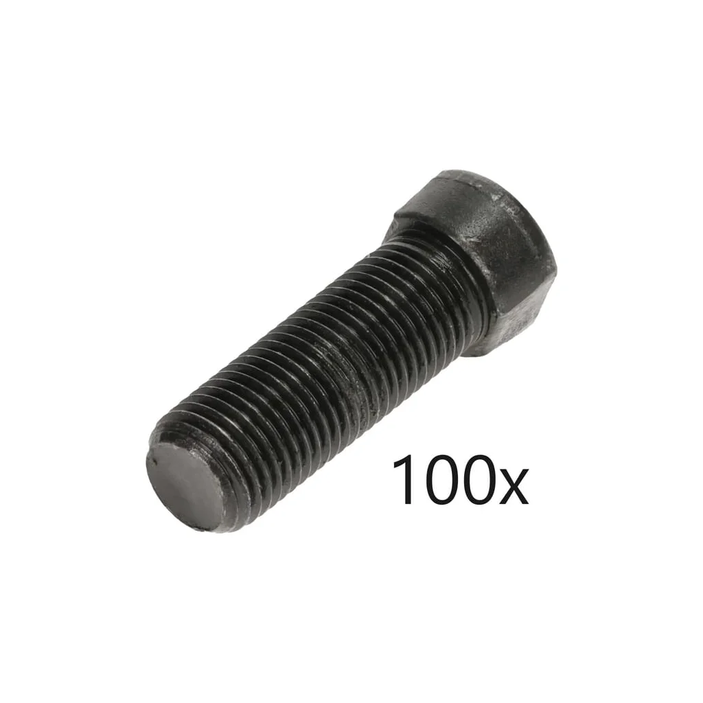 Pachet cu șuruburi 100 buc M12x1,25x40