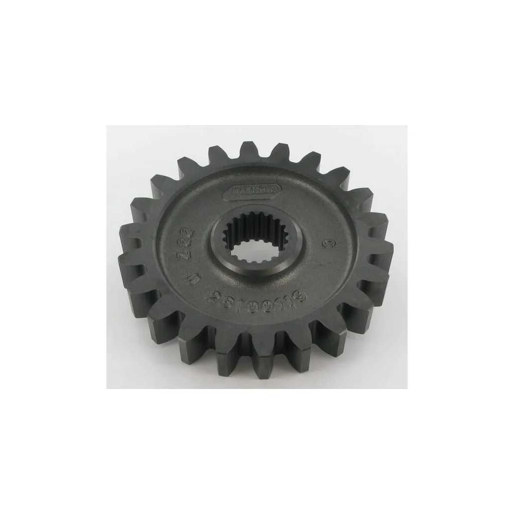 Pinion 22T. Maschio