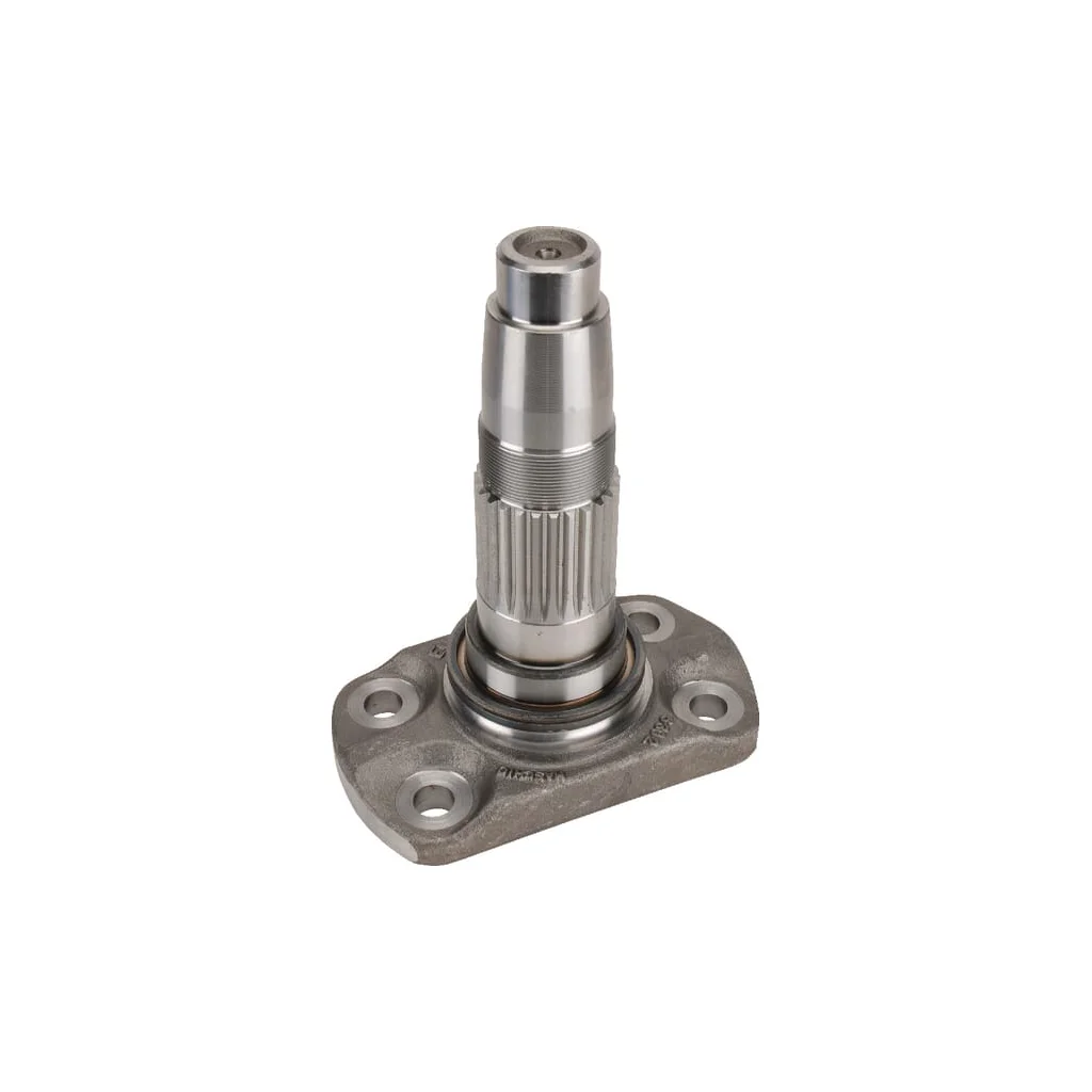 Ax DM Maschio