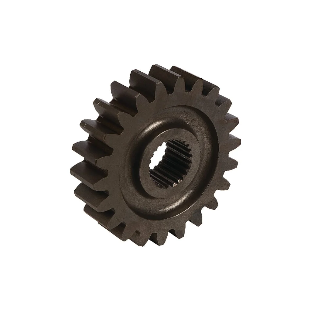 Pinion 22T. Maschio