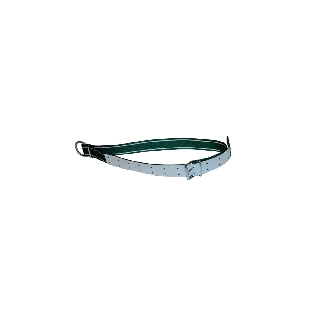 Curea de gât standard 150x5cm cu inel de legătură