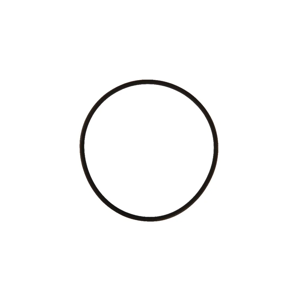 O-ring 94,85x3,53mm Viton Rau