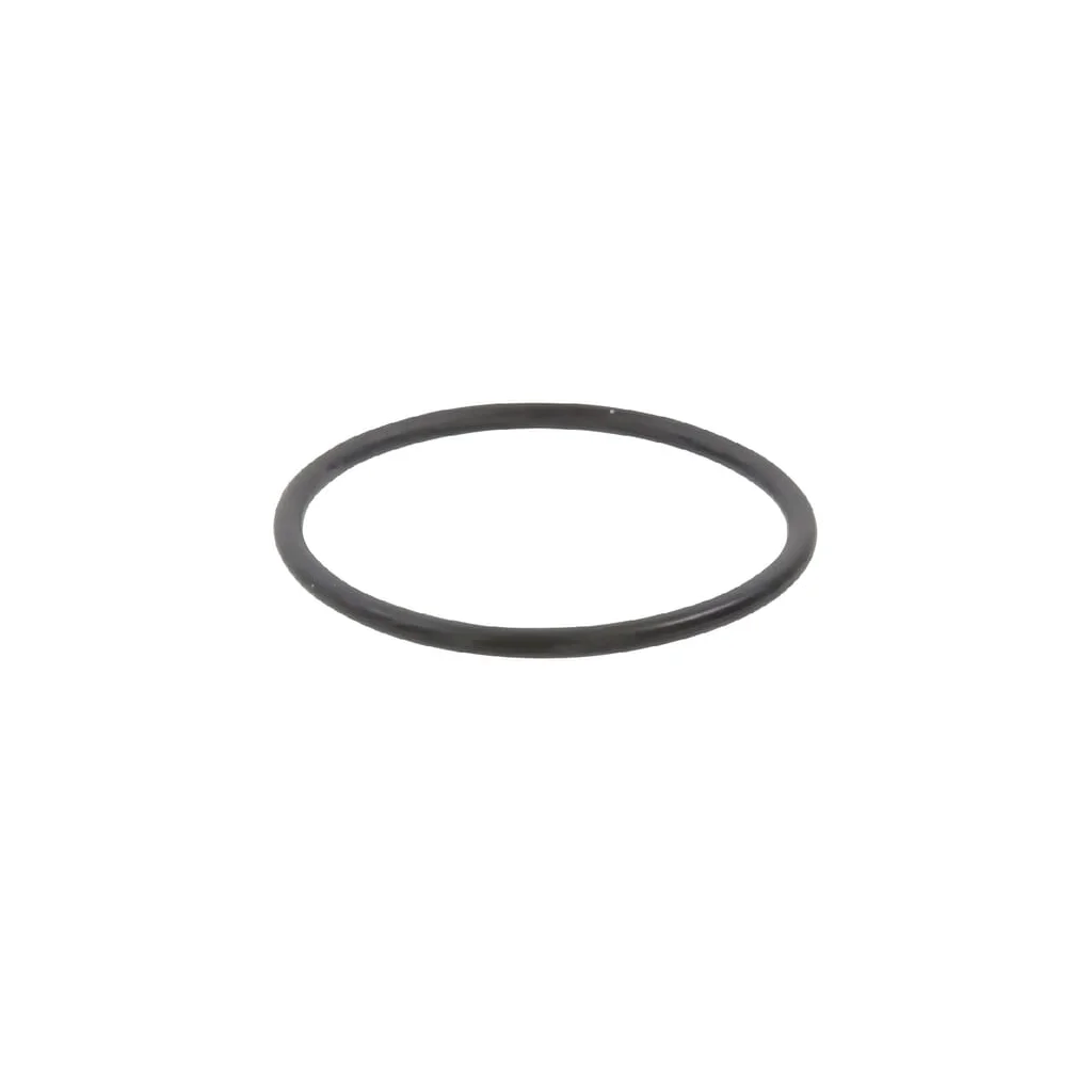 O-ring 55 x 3.5 Rau