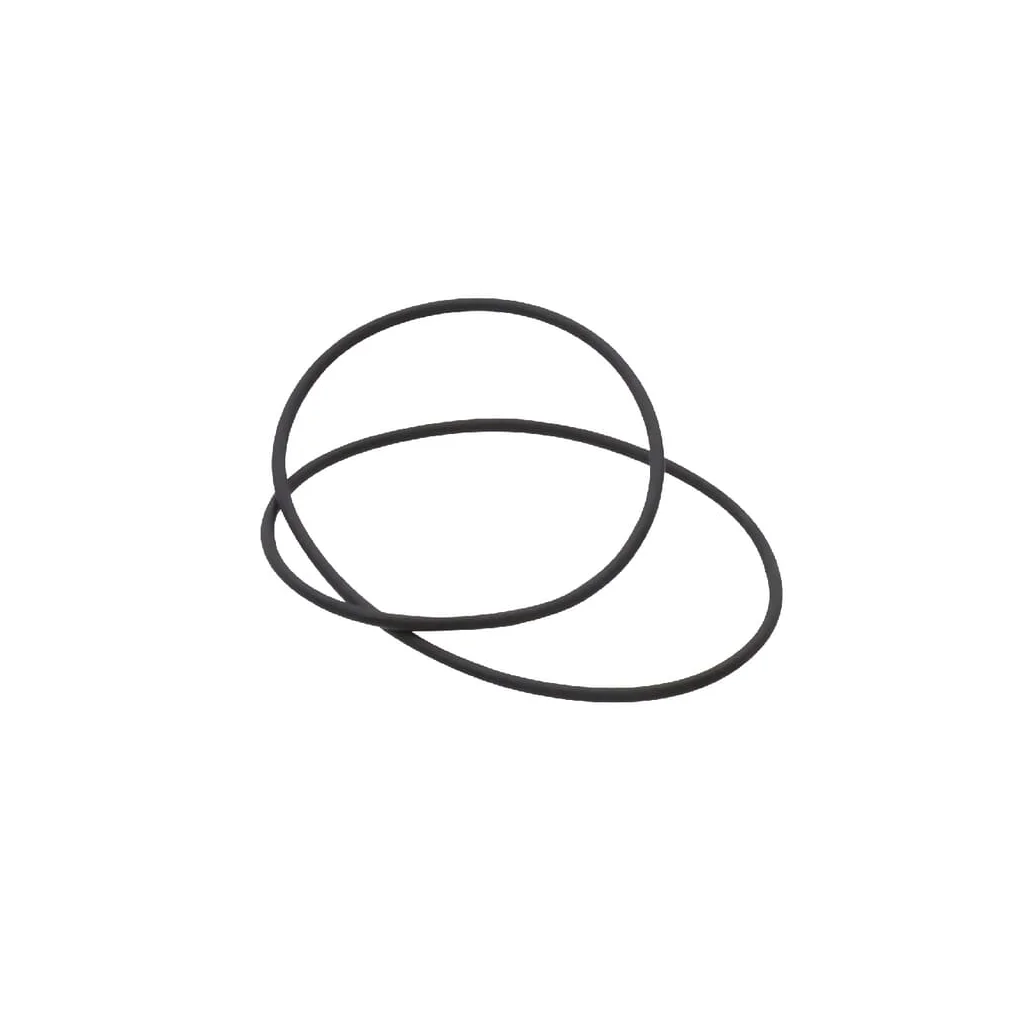 O-ring 174 x 3 Rau