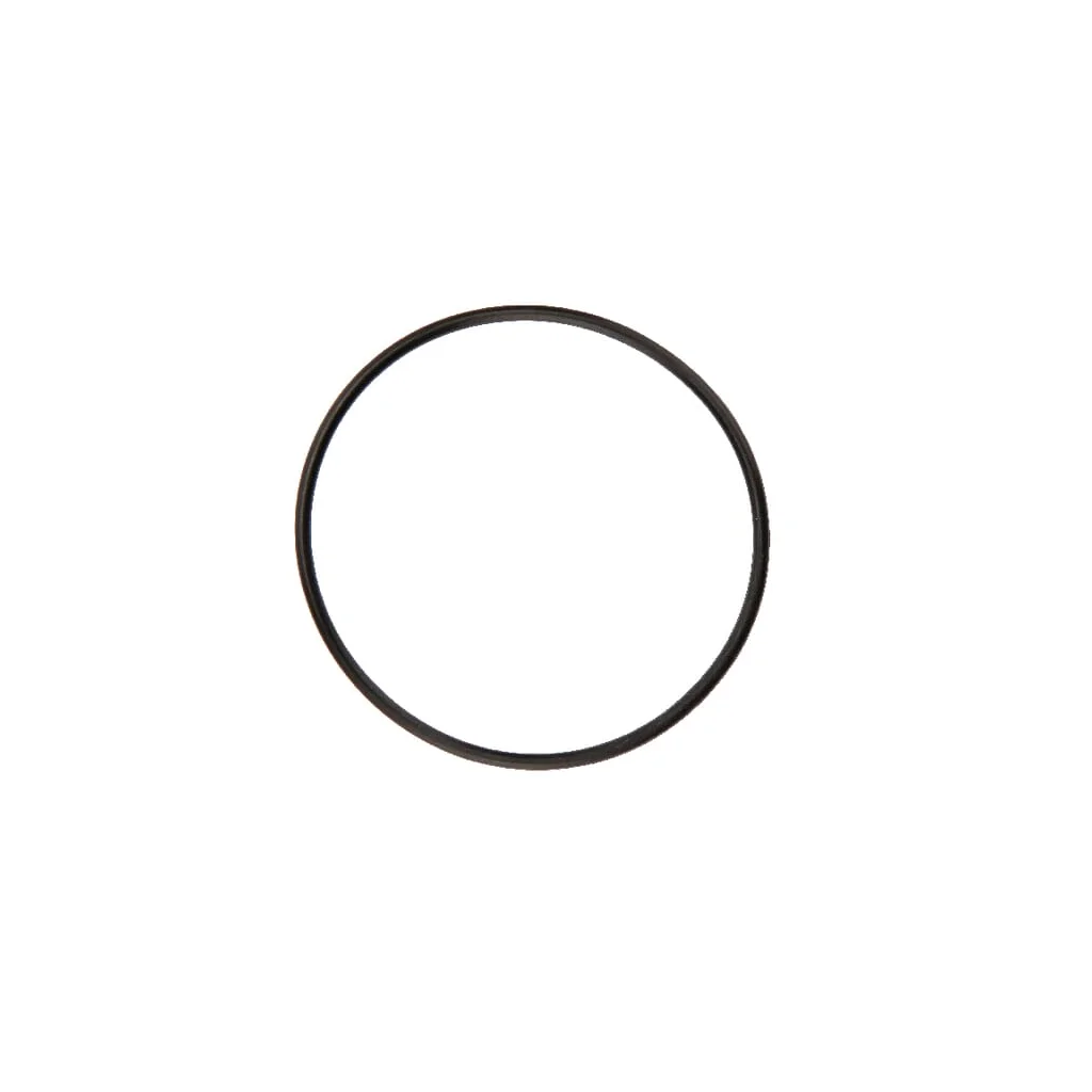 O-ring 52 x 2 Rau