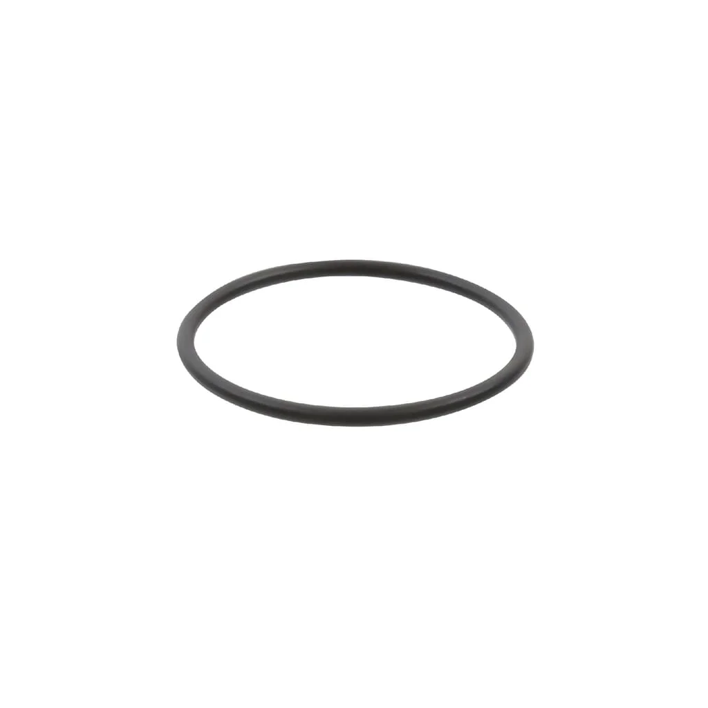 O-ring 60 x 3.5 Rau