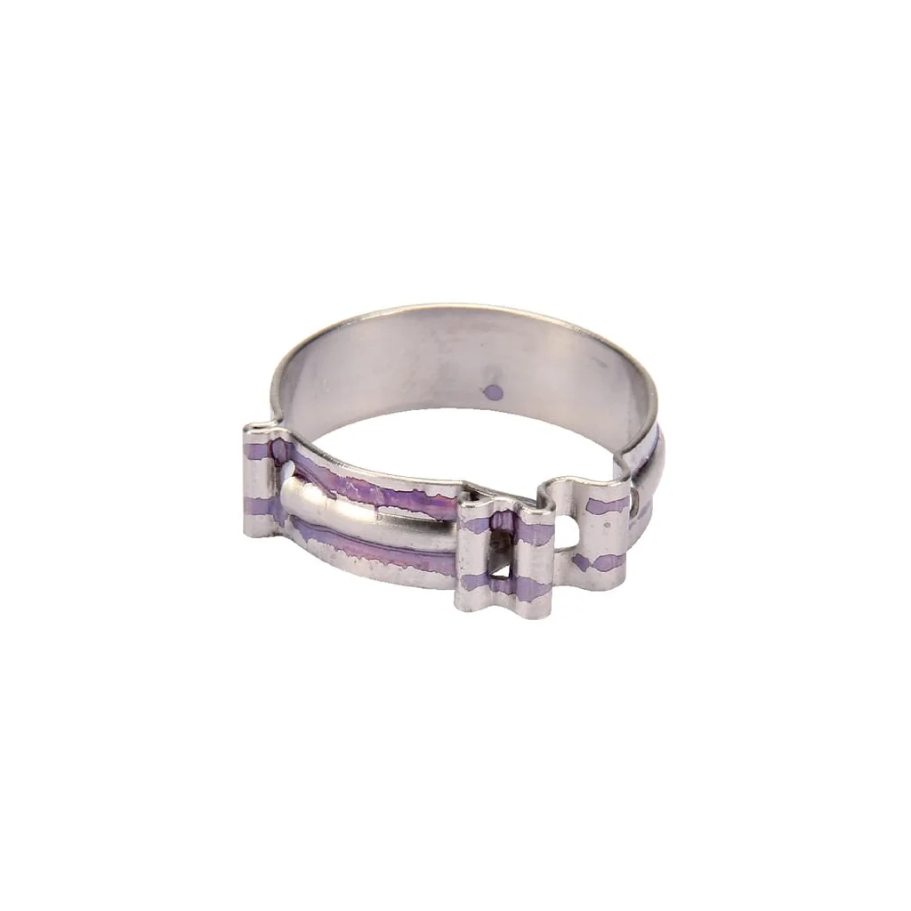 Colier de furtun Clic Standard Rau