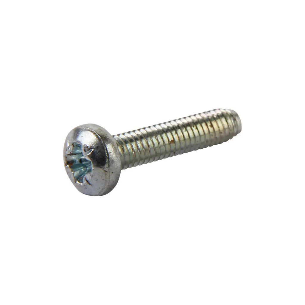 Șurub M2,5x12 Rau