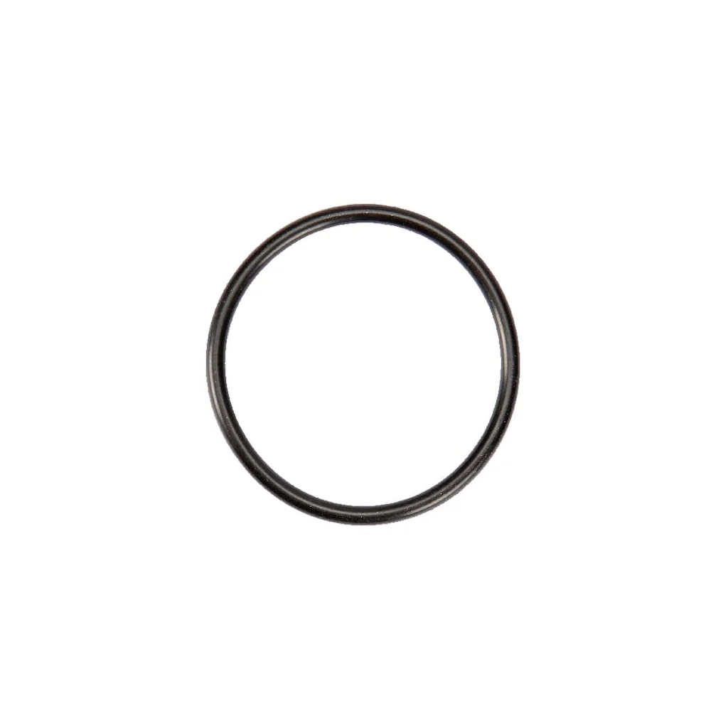 O-ring 42 x 3 Rau