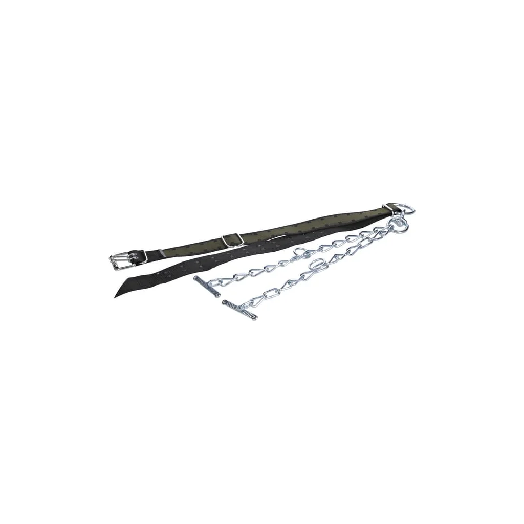 Curea de gât pentru tauri 170x7cm cu lanț dublu și carabină