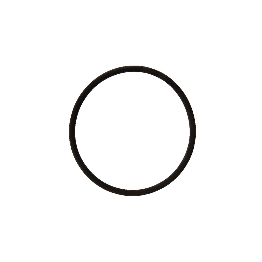 O-ring 126.4 x 7 Viton Rau