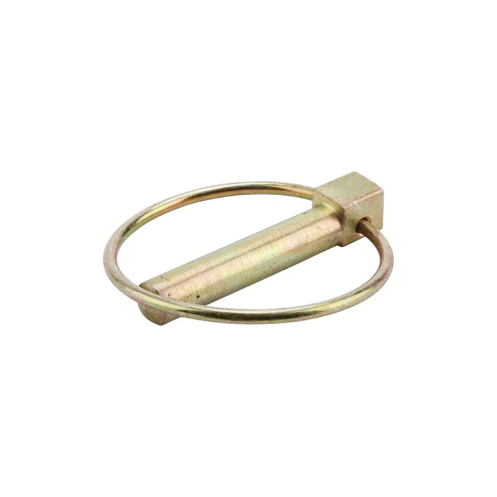 Bolț cu inel DIN11023 10x45mm A3C