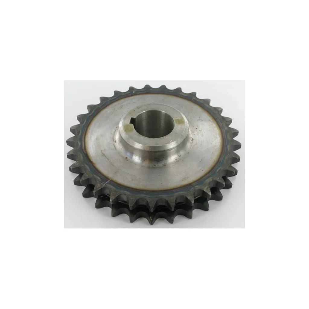 Pinion dublu