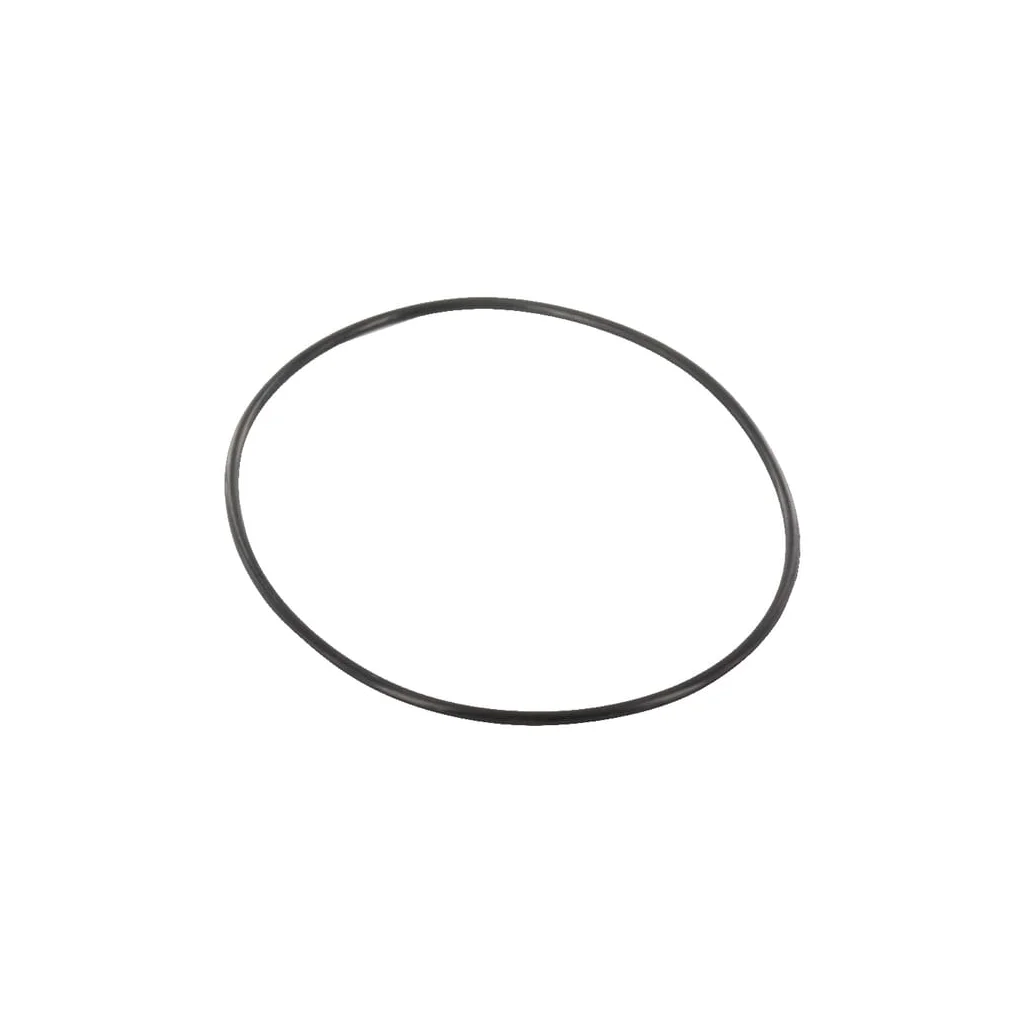O-ring 101.3 x 2.6 Rau