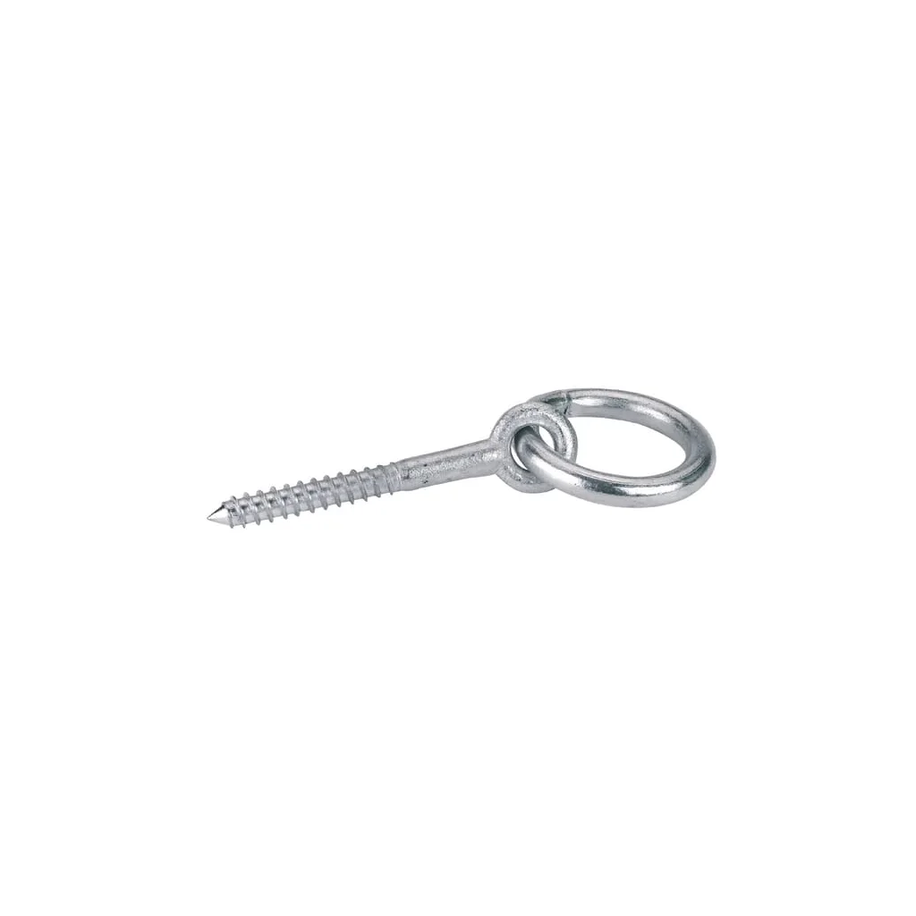 Șurub cu inel 12x80mm