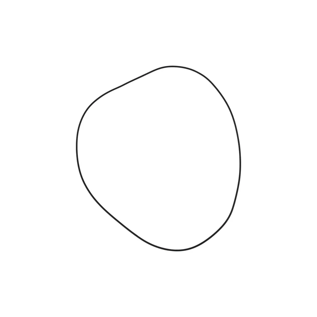 O-ring